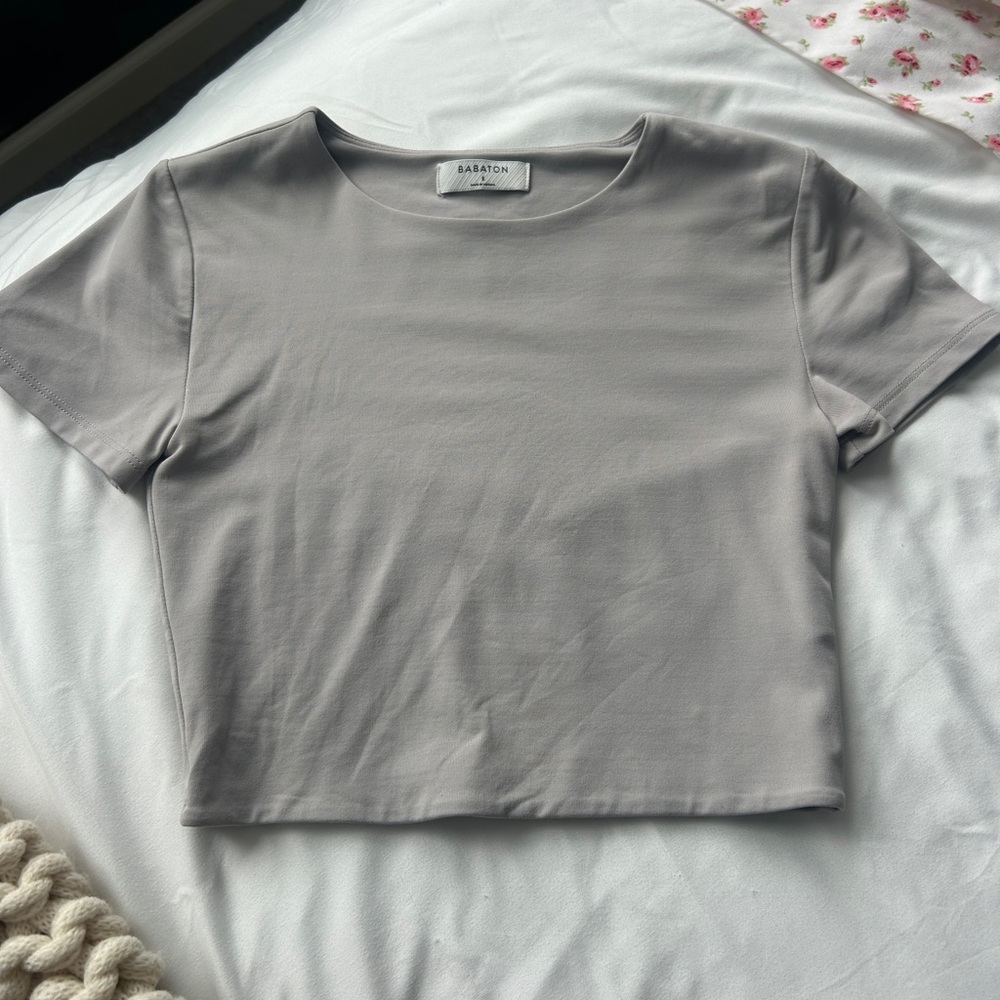 Aritzia Babaton Gray Baby Tee